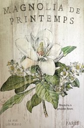 'Magnolia De Printemps ' By Sue Schlabach Canvas Print
