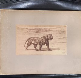 Photo Lithographic Print Of An Antique Drawing, Matted