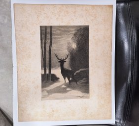 Photo Lithographic Print Of An Antique Drawing Of A Deer