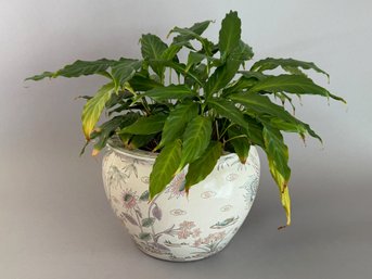 Asian Planter With Live Plant