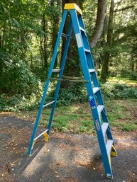 Werner 8' Blue Ladder