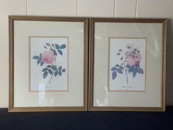 Pair Of Rose Prints By PJ Redoute