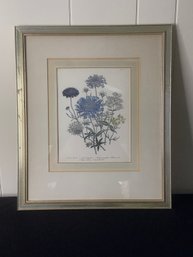 Blue Flowers Framed Lithograph