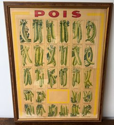 Vintage French Poster- Peas