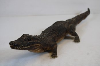 Vintage Lifelike Replica Of A 26' Alligator