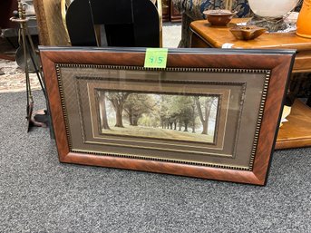 Avenue Of Trees -  Beautiful Quadruple Frame