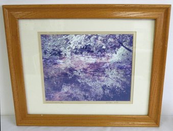 Original Color Framed Photograph 'Shallow Reflecting Pool'  - Signed And Dated