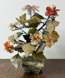 Cared Jade Flower Plant