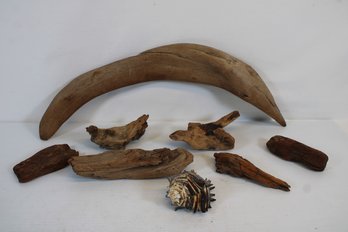 Group Of Vintage Various Sized Driftwood And Small Conch Shell - Lot 2