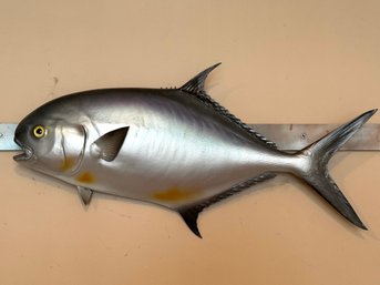 Decorative Fish Wall Hanging