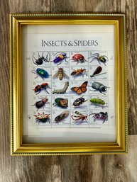 1999 Insects And Spiders Commemorative Stamp Sheet