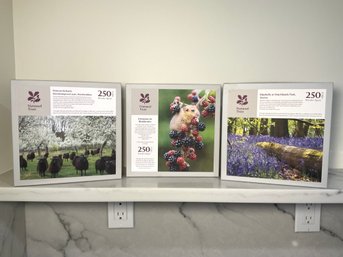 A Trio Of Wentworth Wooden Puzzles - National Trust