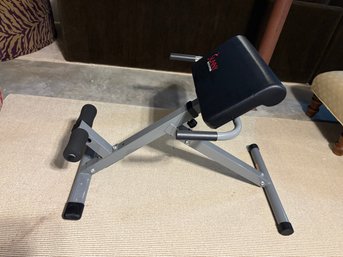 Sunny Health & Fitness Hyperextension Roman Chair