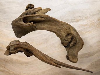 Pair Of Natural Sculptural Driftwood Root Specimens