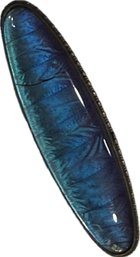 Vintage Sterling Silver Blue Butterfly Wing Brooch, Oval Marquise Form, 830 Silver