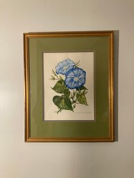 Orignal Watercolor Painting Wendy Franco Almquist MCM Floral