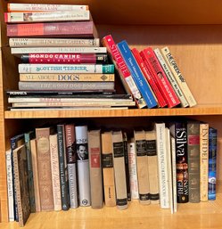 Over 40 Books: Vintage Childrens Books, Dogs, Popular Fiction & More