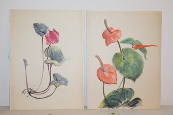 Pair Of Anthurium Ink Wash Paintings