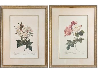 Pair Of Vintage Framed Botanicals Of Roses