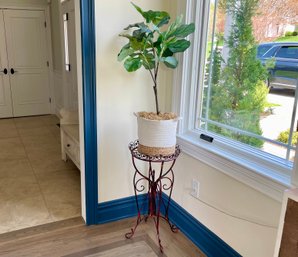 Decorative Fiddle Tree Plant On Scroll Designed Metal Stand