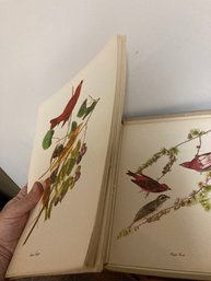 Audubon Birds Of America Fifty Selections W/ Commentaries By Roger Tory Peterson, Vintage