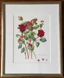 2007 Original Color Pencil Botantical Drawing Of Flowers & Lady Bugs