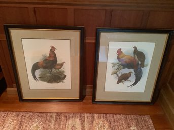 Framed Prints Of Gallus Ferrugentus & Lafayettii (Roosters & Hens) By D. G. Elliot