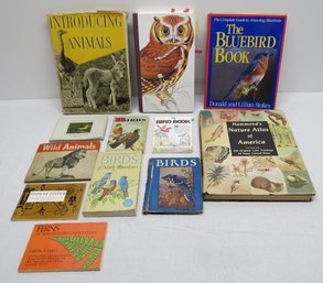 This Lot Is For The Birds.....and A Few Wild Animals Too....