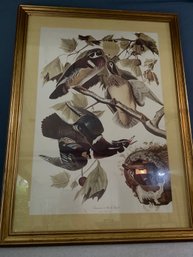 Large Framed Artwork Of Ducks #7