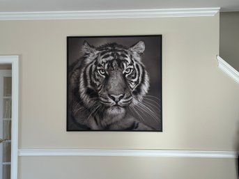 Large Impressive Alexander Von Reiswitz 'Dschandra' Tiger Limited Edition Signed Portrait Photograph Print