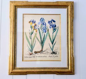 Trowbridge Iris Statement Piece