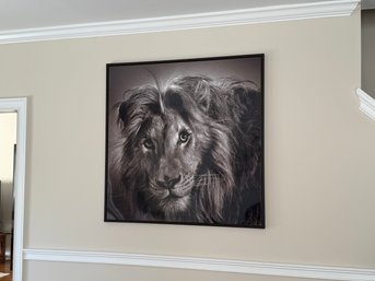 Large Impressive Alexander Von Reiswitz 'Maasai' Lion Limited Edition Signed Portrait Photograph Print