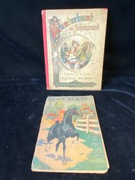2 Piece Vintage Hardback Book Set