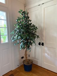 Large Faux Ficus Tree