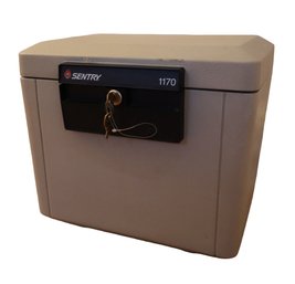 Sentry 1170 Fire Safe