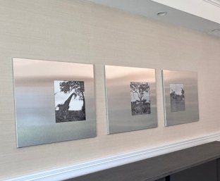Set Of Three Room & Board Manhattan Hand Welded Stainless Steel Frames With Wildlife Animal Photos