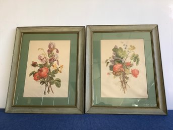 Early Framed Botanicals Etching By Jean Louis Prevost