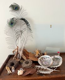 Nature Lot Of Collectibles