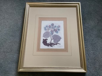 Framed Botanical Print Of Burdock/bardana (Arctium Lappa)