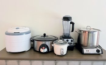 Vita Mix, Dehydrator,  Crockpot, Rice Cooker,  & Electric Burner