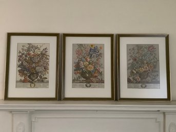 Set Of 3 - Botanical Prints - May, June, July