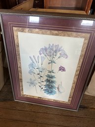 Nice Triple Matted Print  Lillium Washintonianum Var Purpureum