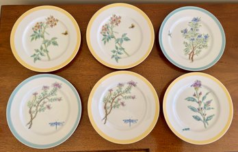 Set Of Six Williams-sonoma Flowering Herbs Plates