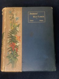 Vintage 1800's Book 'American Wild Flowers' By Goodale & Sprague