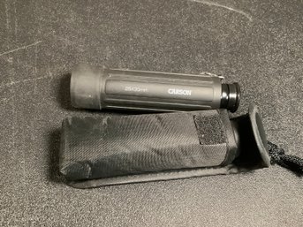 Pair Of Telescopes #29