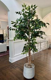 Faux Ficus Tree In Cement Planter