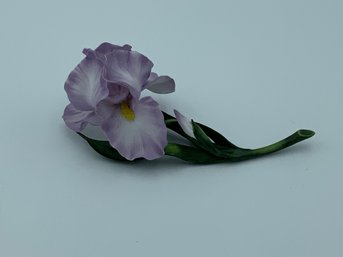 Homco Bone China Iris