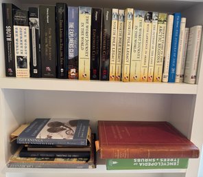 Two Shelves Of Books