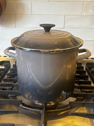 Le Creuset 8 Qt Enamel  Stock Pot - In Oyster
