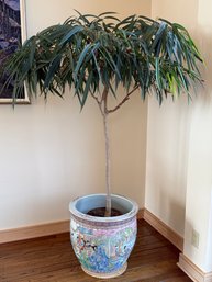 Beautiful Asian Planter Brought Back From Shanghai With Benjamina Palm Tree